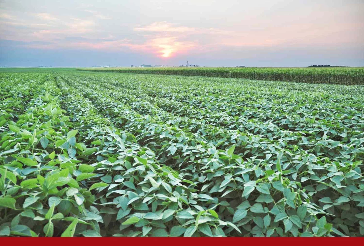 Key Highlights for March 5, 2026