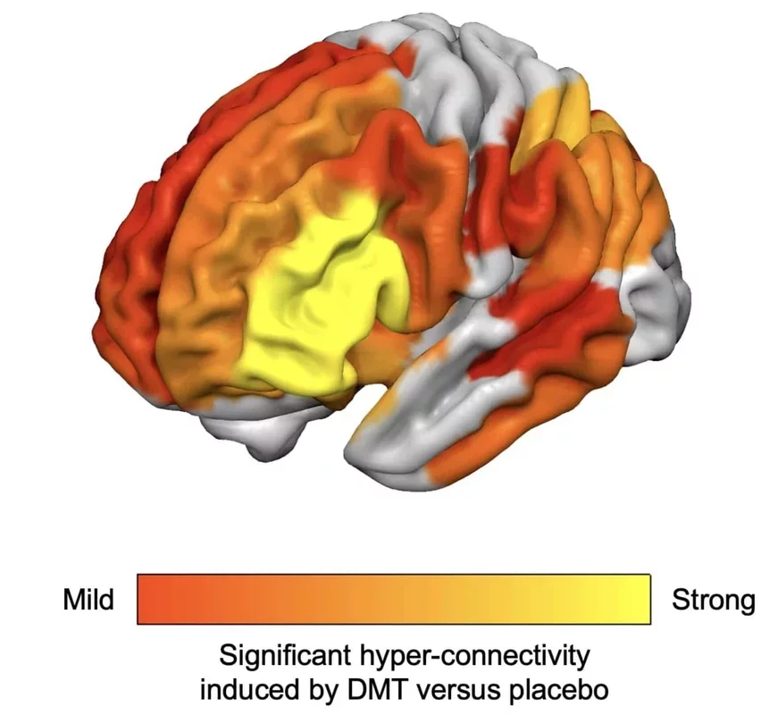 Neuroscientists Unravel the Mechanisms Behind Visual Hallucinations Induced by Psychedelics