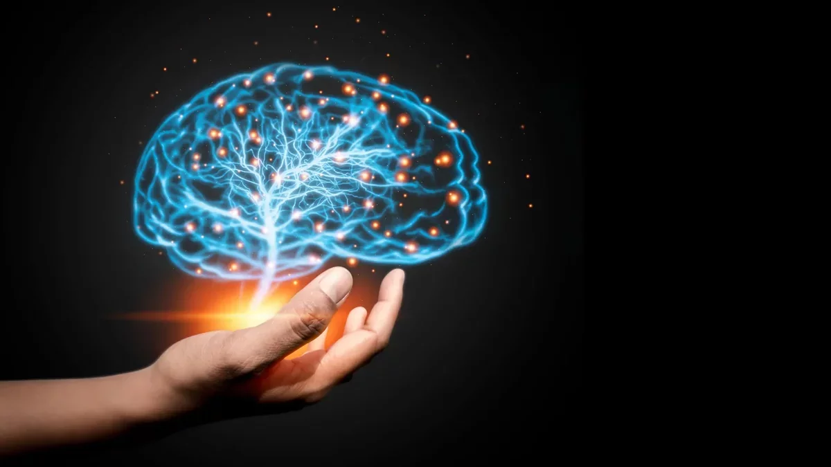 New Insights into Brain Development: The Role of Tissue Stiffness Uncovered