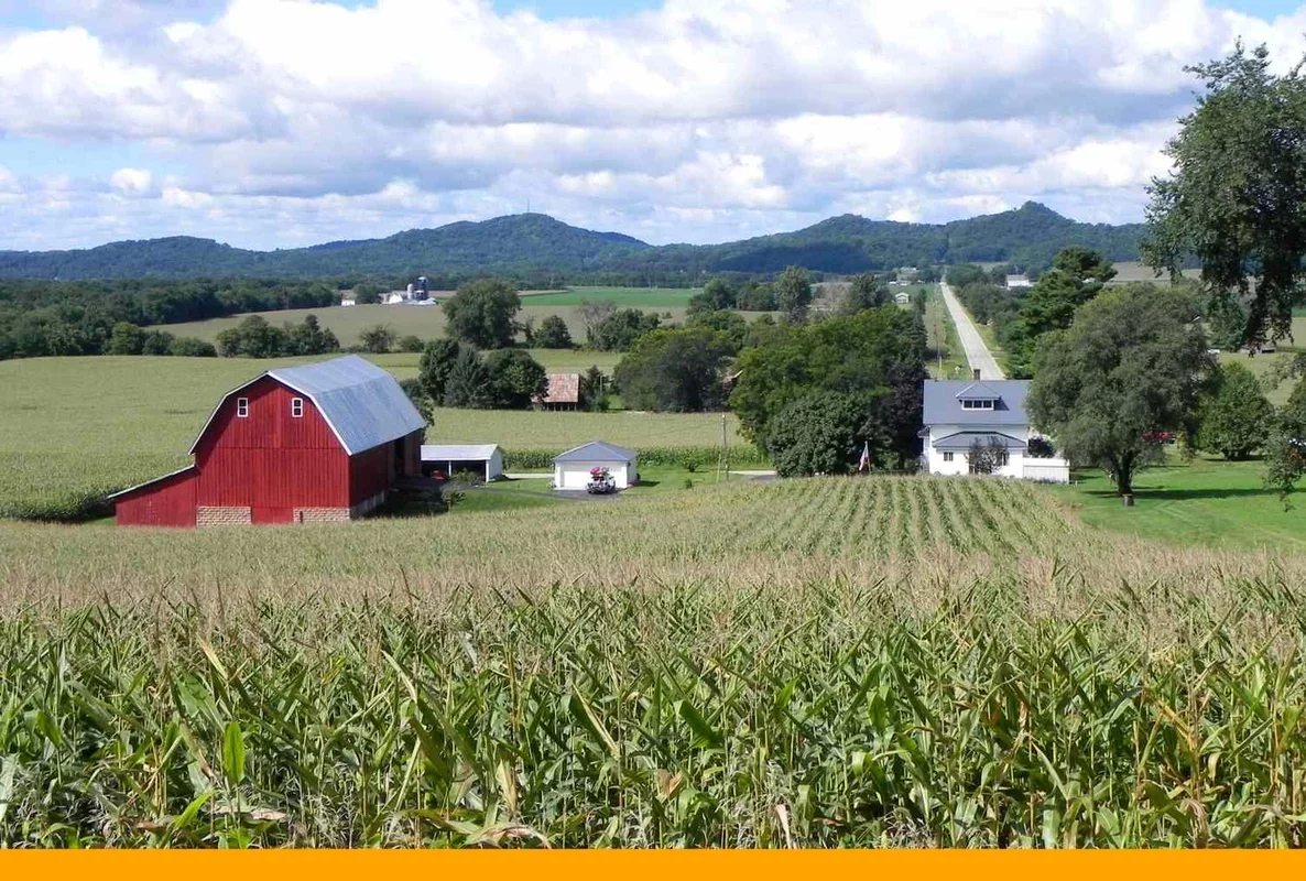 Market Updates: Grain Futures Surge Amid Global Developments