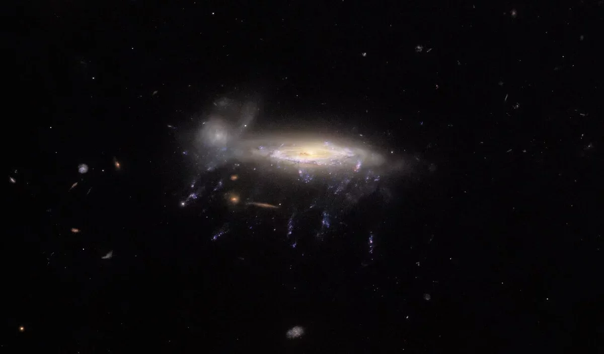 JWST Unveils Unique "Jellyfish" Galaxy with Star-Trail Tentacles from the Early Universe