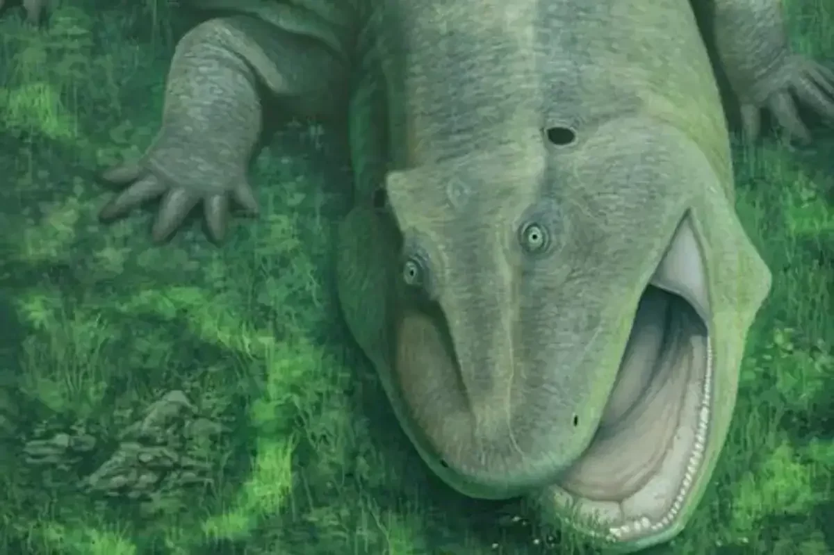 A Unique Fossil Jaw Unveils a 275-Million-Year-Old Creature