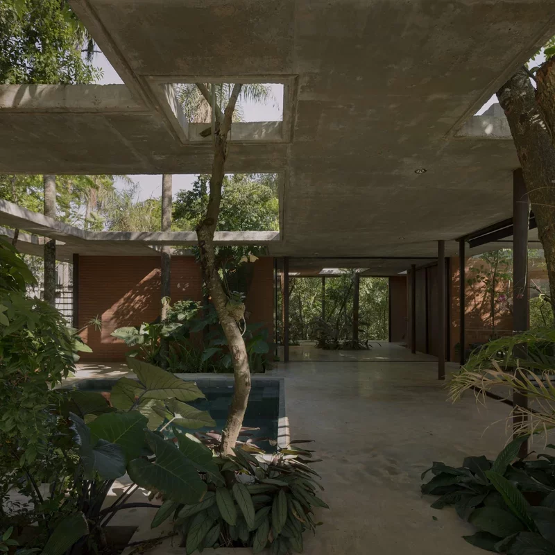 Nature Meets Modern Design in Paraguay's 'Un Bosque en La Casa'