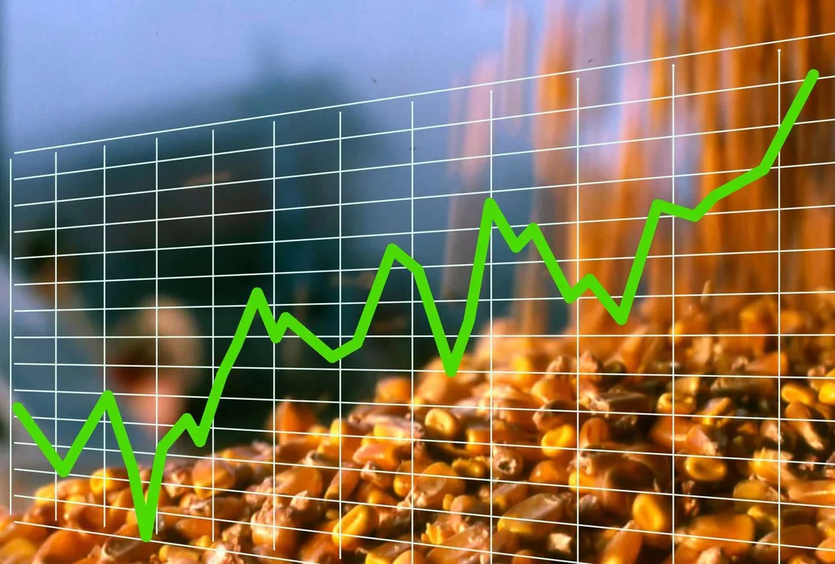 Crude Oil Prices Surge by Nearly $13 This Morning