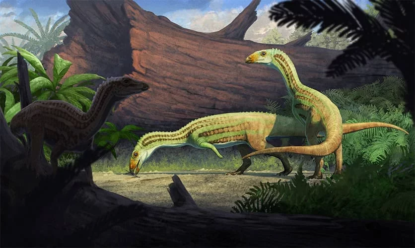 Ancient Crocodile Relative Walked on Two Legs During Growth