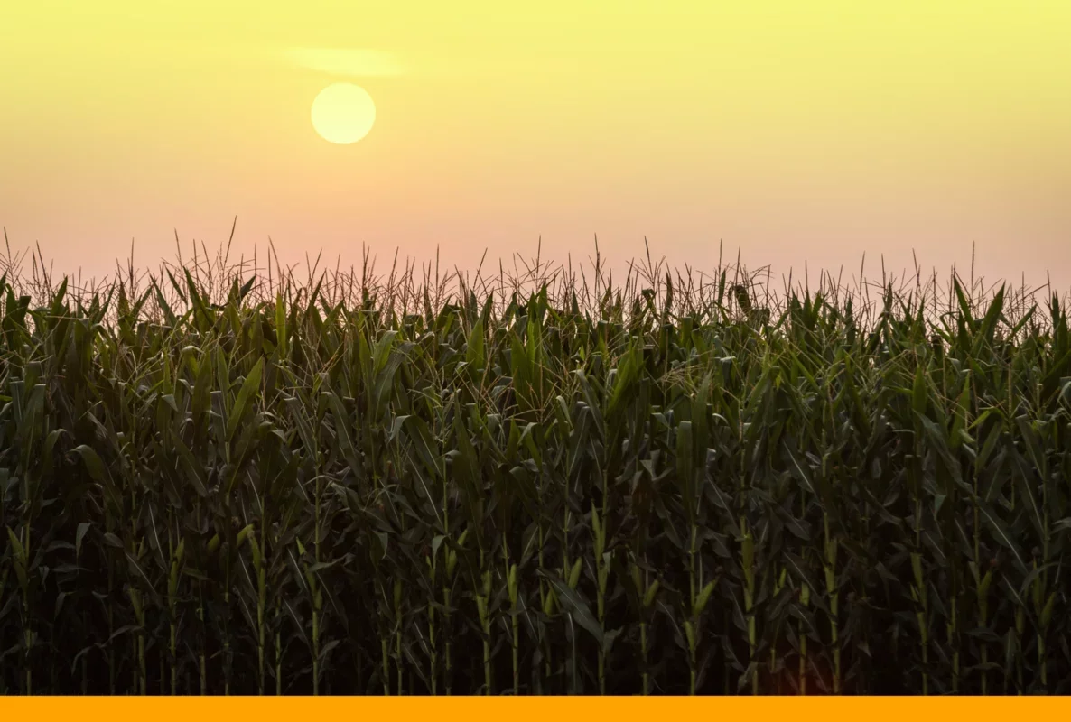 Key Highlights for March 10, 2026