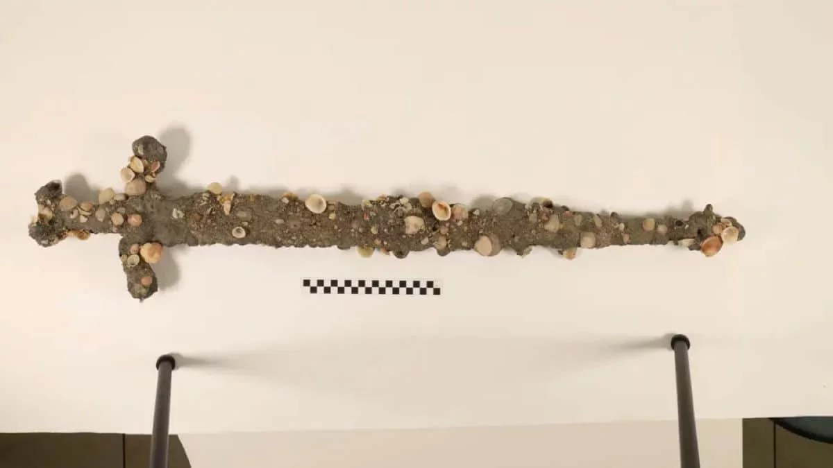 Diver Discovers Ancient Crusader Sword Off the Israeli Coast