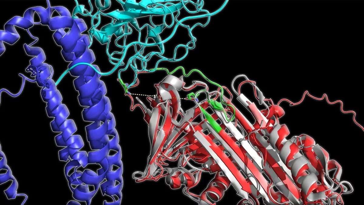 Innovative Blood Test Reveals Alzheimer's Through Protein Structure