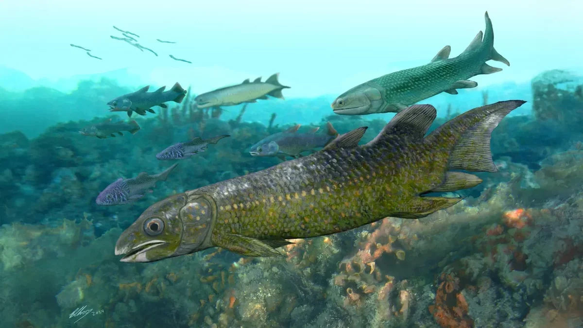 Ancient Fish Fossils Illuminate the Evolution of Life on Land