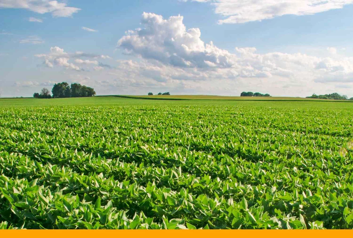 March 12, 2026: Key Highlights in Agriculture and Energy