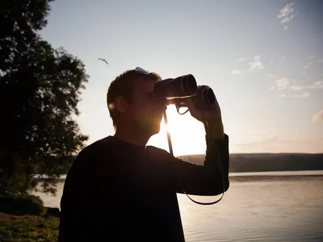 Exploring the Joy of Birdwatching: A Beginner's Guide