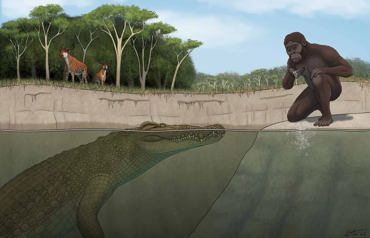 New Species of Crocodile Discovered: A Glimpse into Our Ancient Past