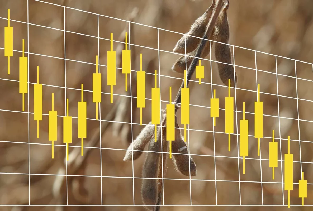Soybean Prices Dip Ahead of Weekend Trading
