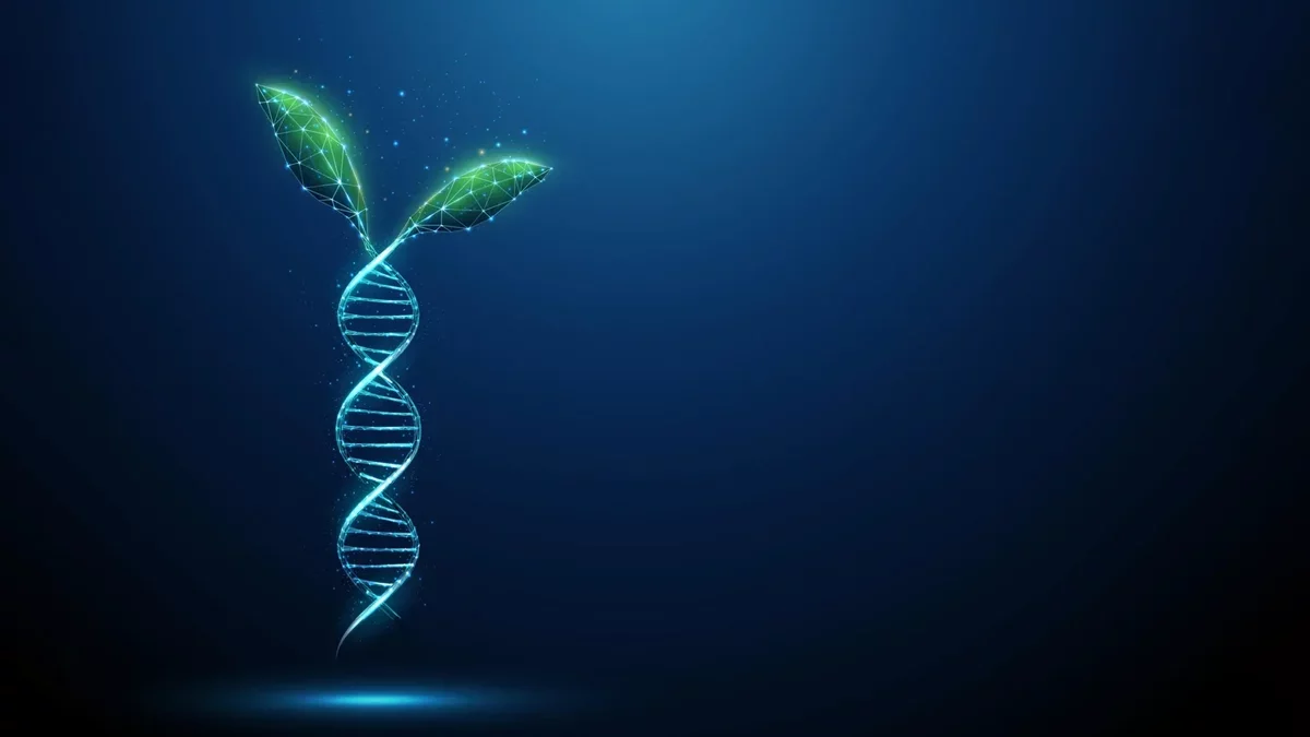 Ancient DNA "Switches" in Plants Unveiled by Scientists