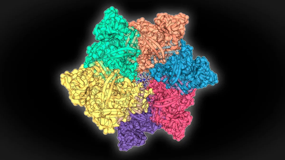 Hidden Deep-Sea Proteins Could Revolutionize Disease Testing