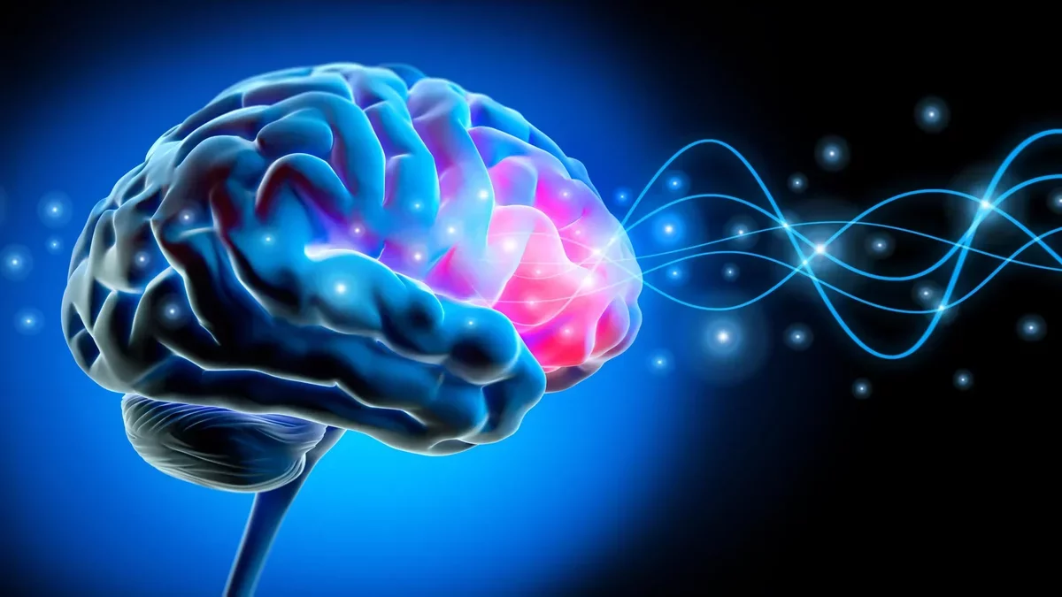 ADHD and Sleep-Like Brain Activity: New Insights