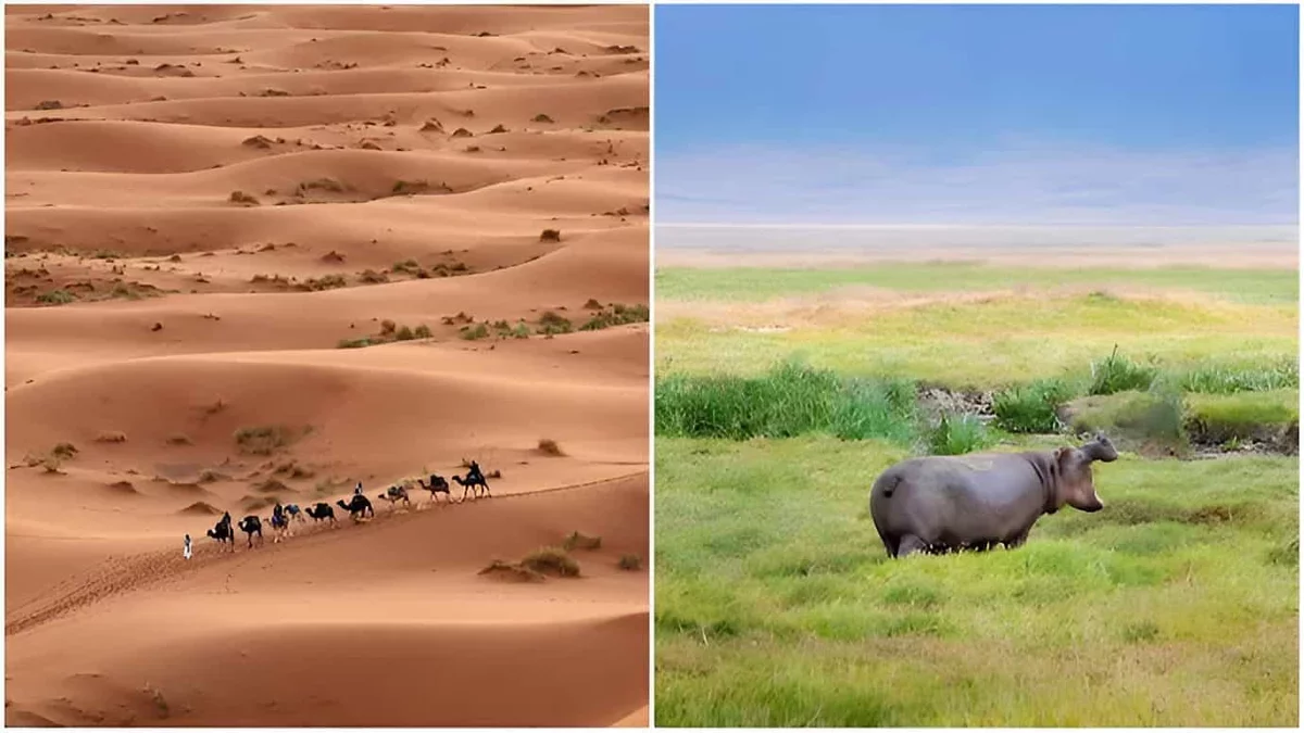 Sahara's Green Past Revealed by Ancient Stalagmites in Moroccan Caves