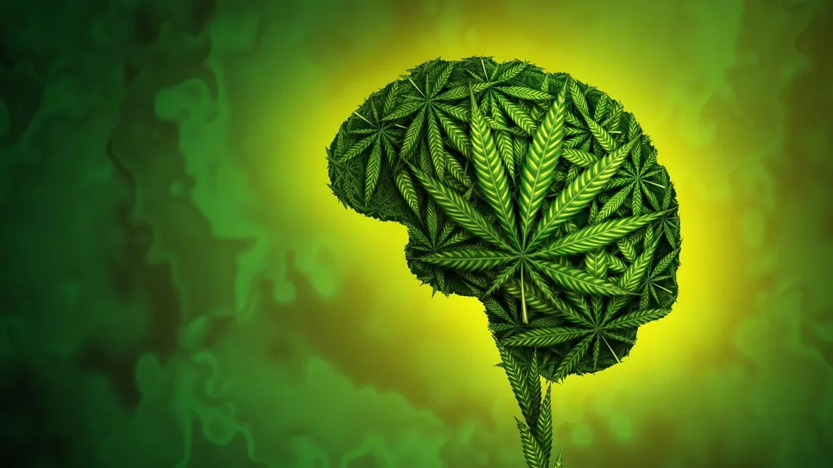 New Study Questions Medicinal Cannabis Efficacy for Mental Health