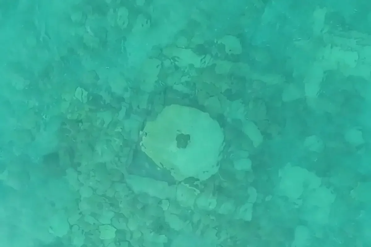 Ancient Silk Road City Unearthed Beneath Lake Issyk-Kul