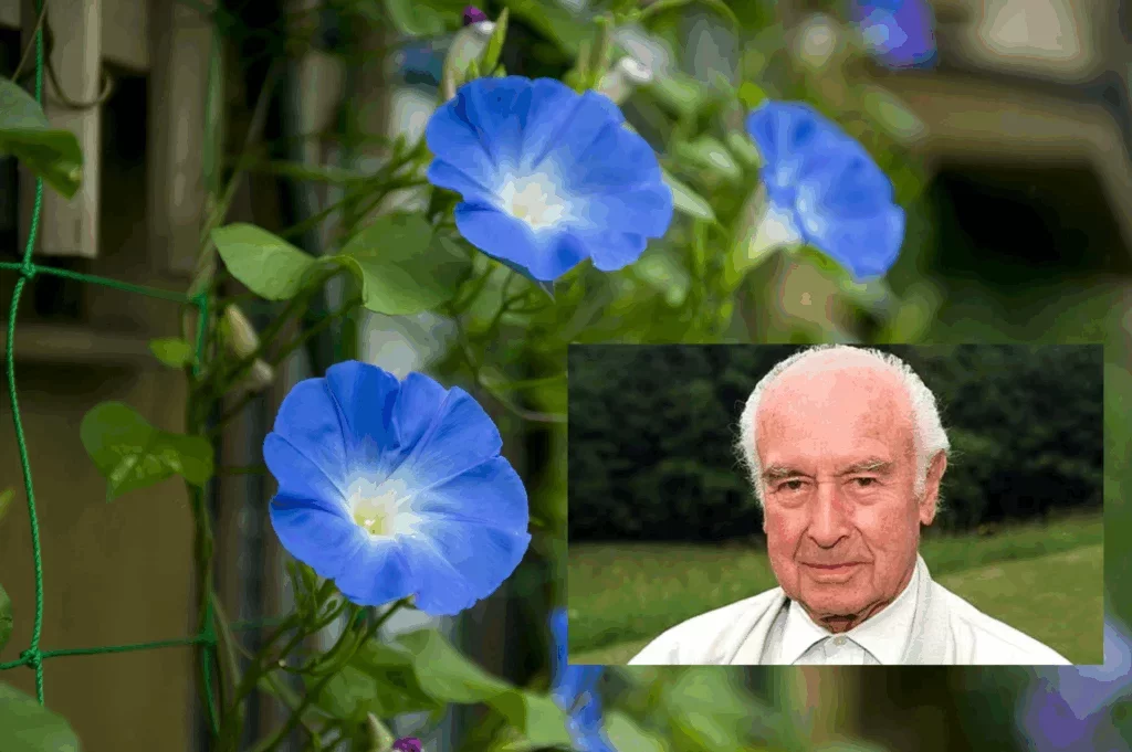 WVU Student Discovers Psychedelic Fungus Long Sought by Scientists