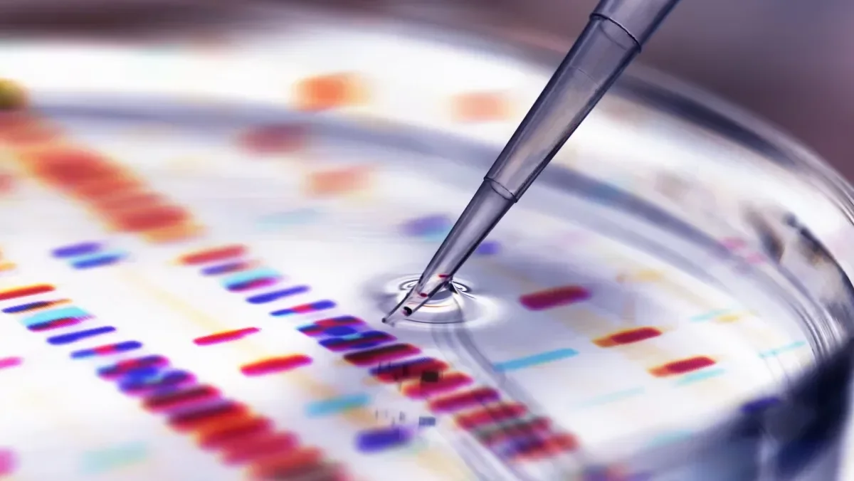 The Science of Humor: Insights from Conference Presentations