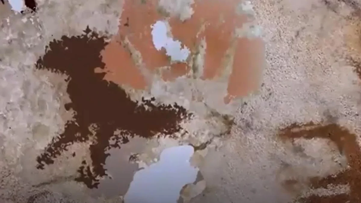 The Oldest Known Art: A 67,800-Year-Old Handprint Discovered