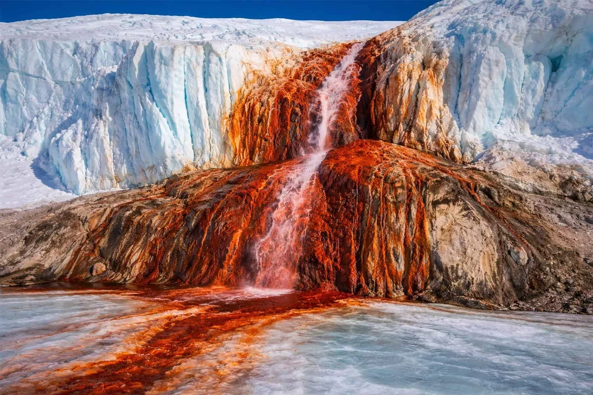 Unlocking the Enigma of Antarctica's Blood Falls