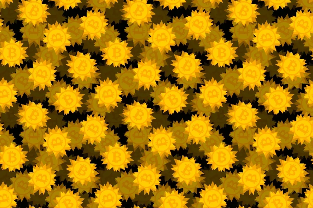 Drift Platform Halts Transactions Amid Security Breach