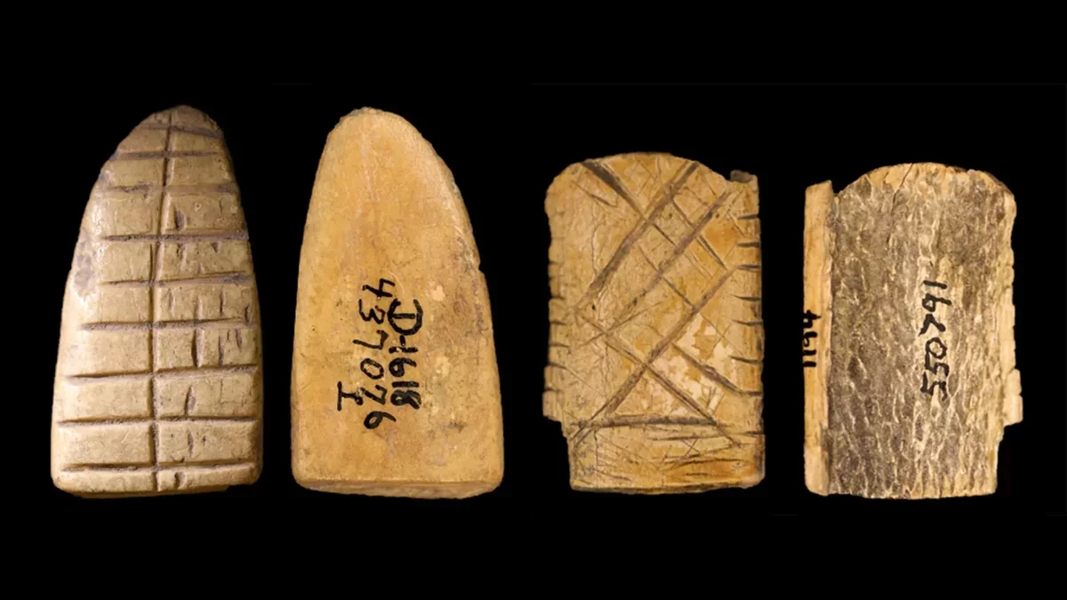 Ancient Bone Dice Uncover 12,000-Year Legacy of Gambling in America