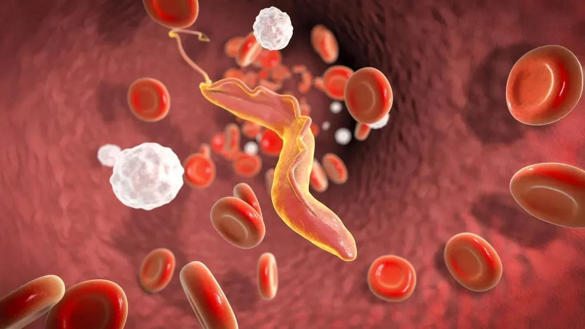 Scientists Uncover "Molecular Shredder" That Aids Parasite in Evading Immune Response