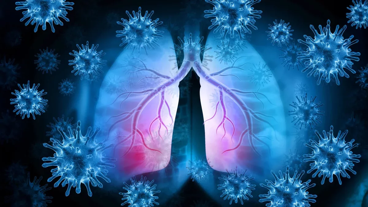 Understanding the Impact of Aging on Lung Health in COVID and Flu Cases