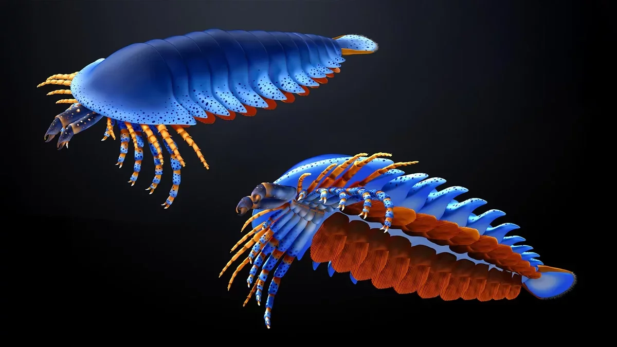 Ancient Fossil Unveils the Origins of Spiders