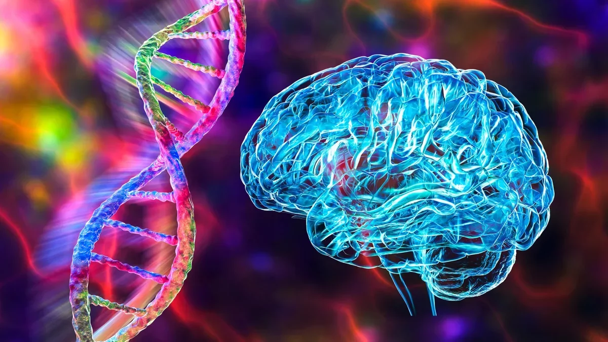 Gene Mutation Linked to Cognitive Challenges in Schizophrenia