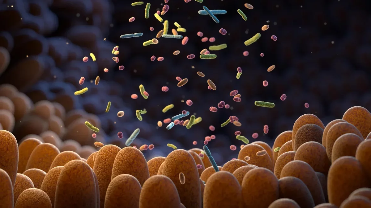 Breakthrough in Gut Health: Early Cancer Detection Through Microbiome Signals