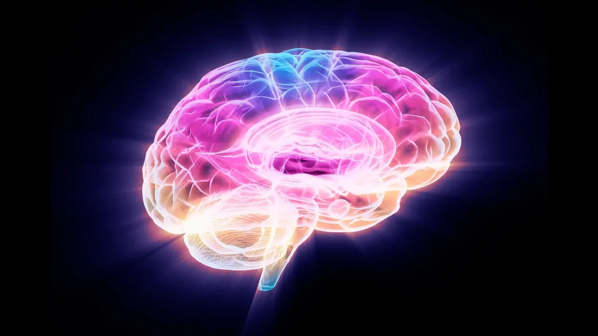 Breakthrough Discovery: Protein Linked to Brain Aging and Potential Reversal