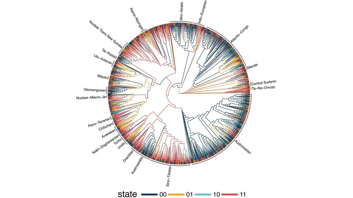 Revealing Linguistic Patterns: A Study of 1,700 Languages