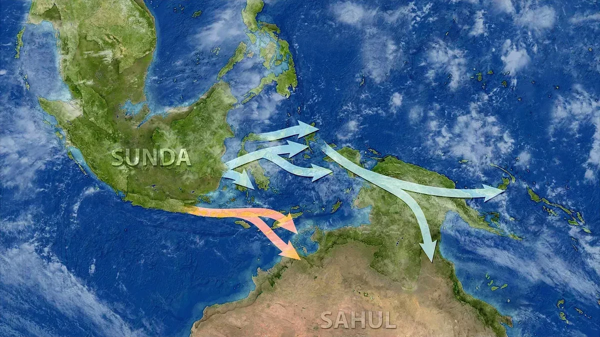 New Insights into Early Human Migration to Australia