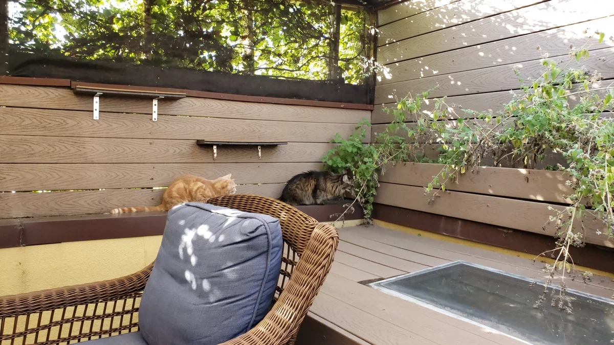 Transforming Your Deck: A DIY Screening Solution