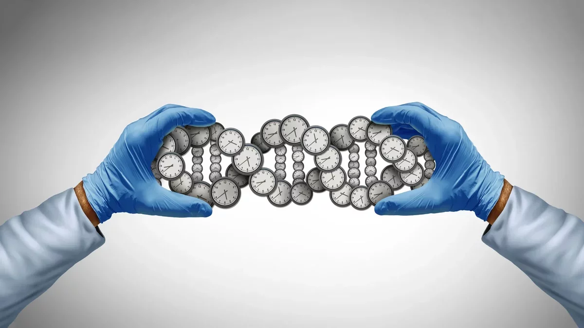 New Insights into Lifespan: Genetics Play a Larger Role Than Previously Believed