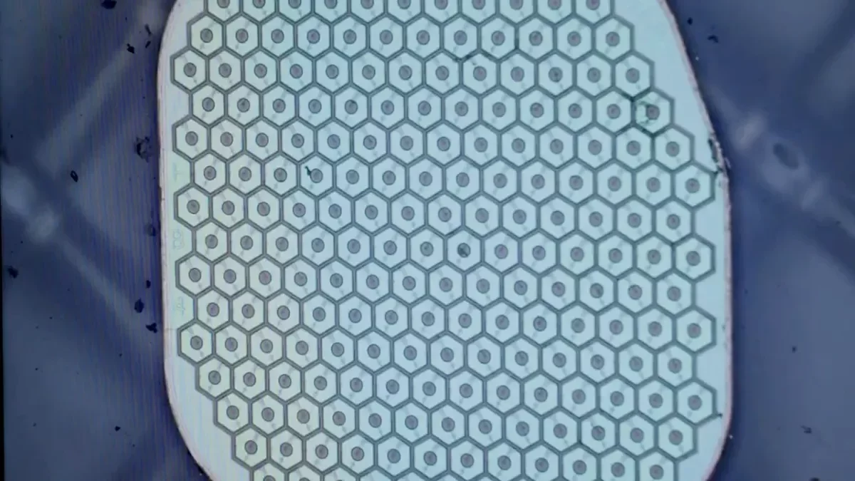 Max Hodak's Science Corp. Set to Launch First Human Brain Sensor Trials