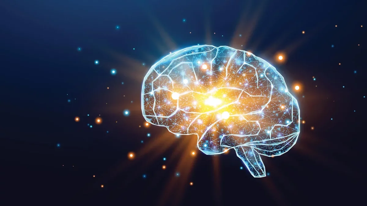 Unlocking Productivity: The Science Behind Good and Bad Days