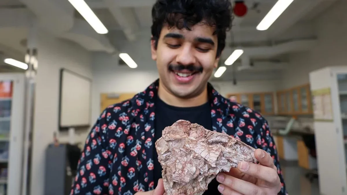 Discovery of Unique Dinosaur Fossil Challenges Evolutionary Understanding