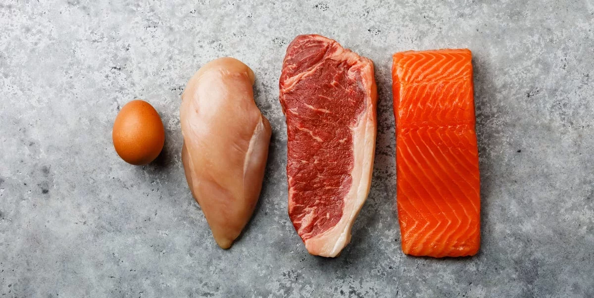 Understanding the Meaning of 'High Protein'