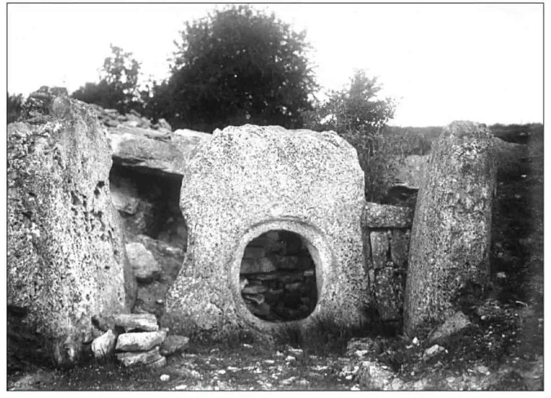 DNA Analysis from Ancient Tomb Sheds Light on Early European Farmers' Decline