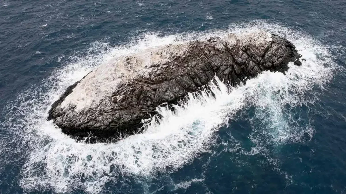 Researchers Uncover Uncharted Island in the Weddell Sea