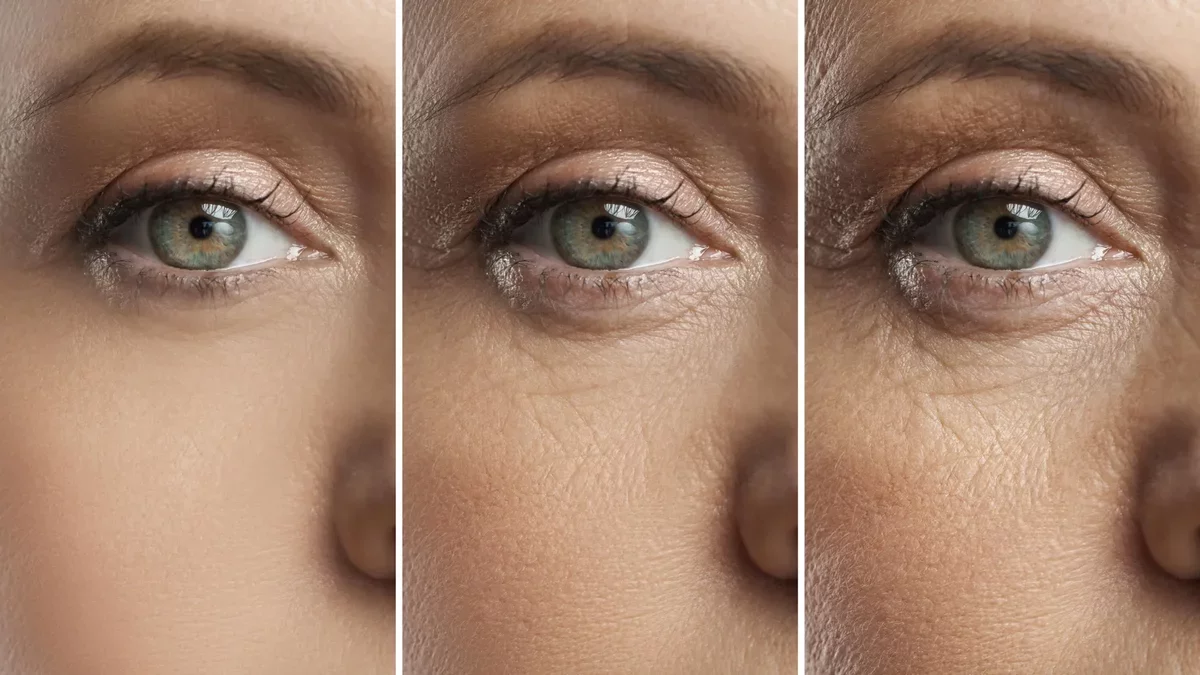 Breakthrough Fatty Acid Treatment May Restore Vision in Aging Eyes