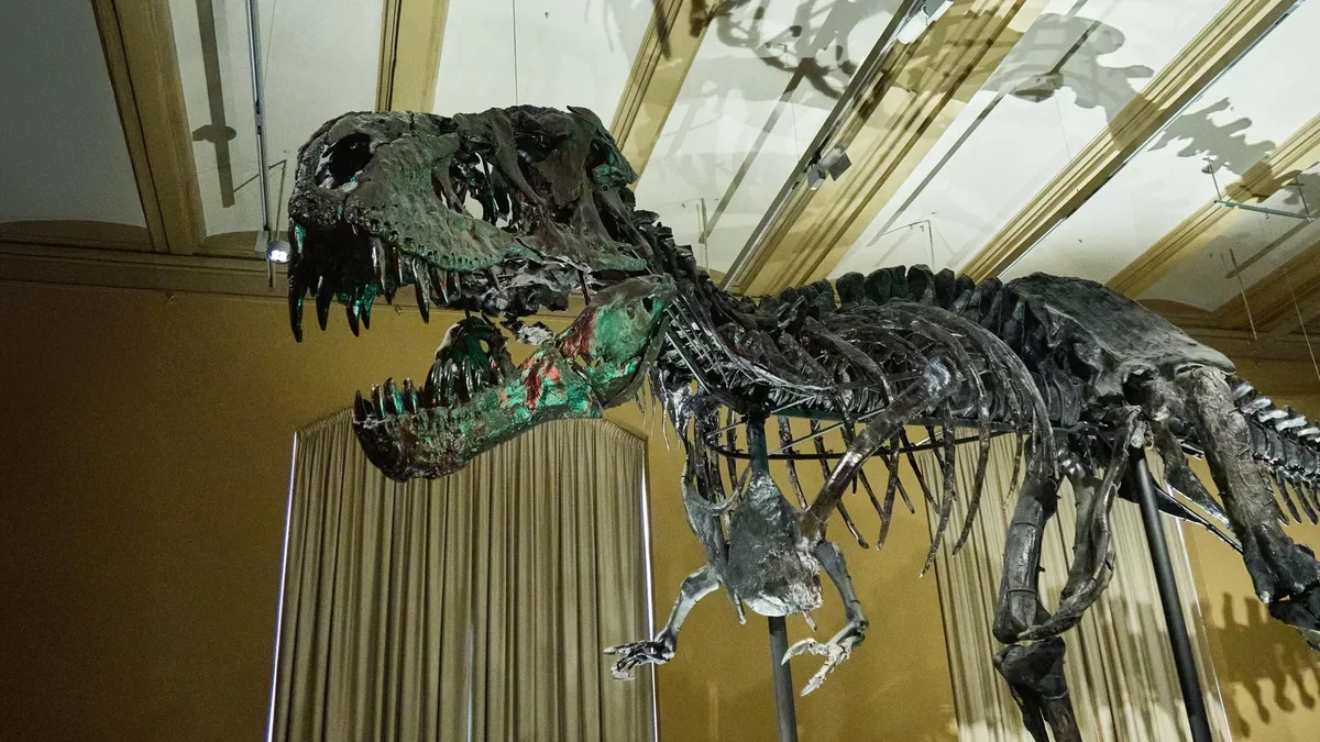 Revolutionary Discovery: Blood Vessels Found in T. rex Fossils Transform Our Understanding of Dinosaurs