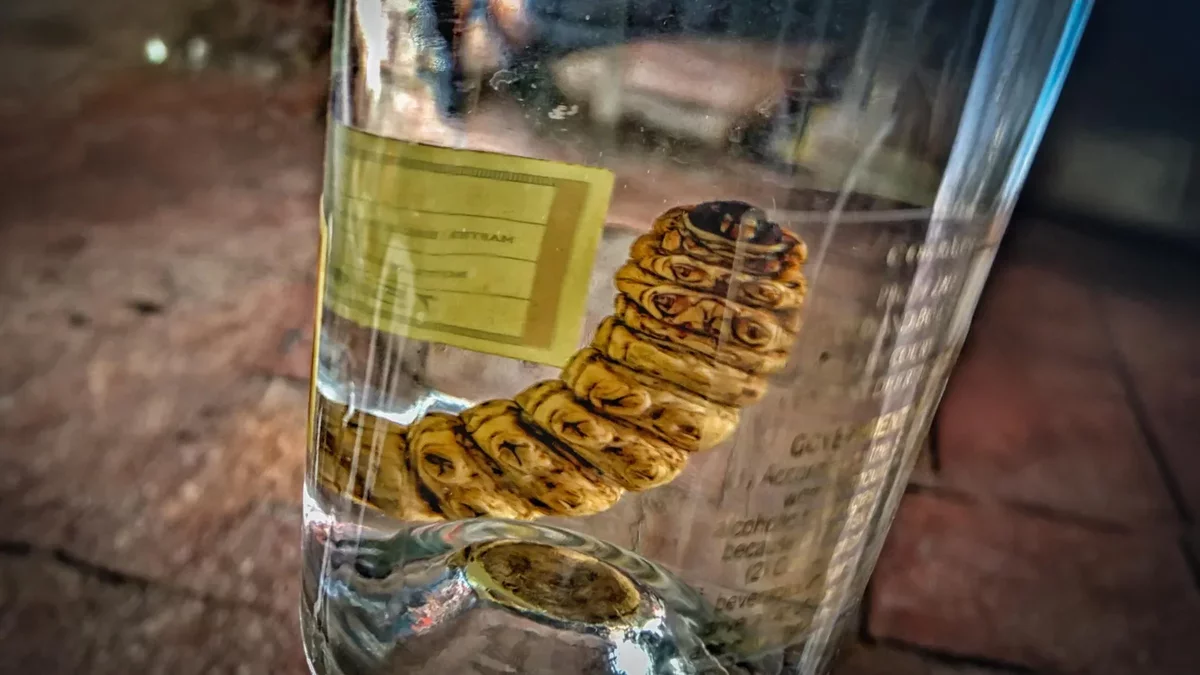 DNA Analysis Unveils the Mystery Behind Mezcal Worms