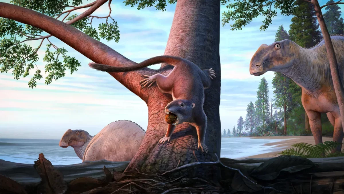 New Species of Mammal Discovered from Dinosaur Era