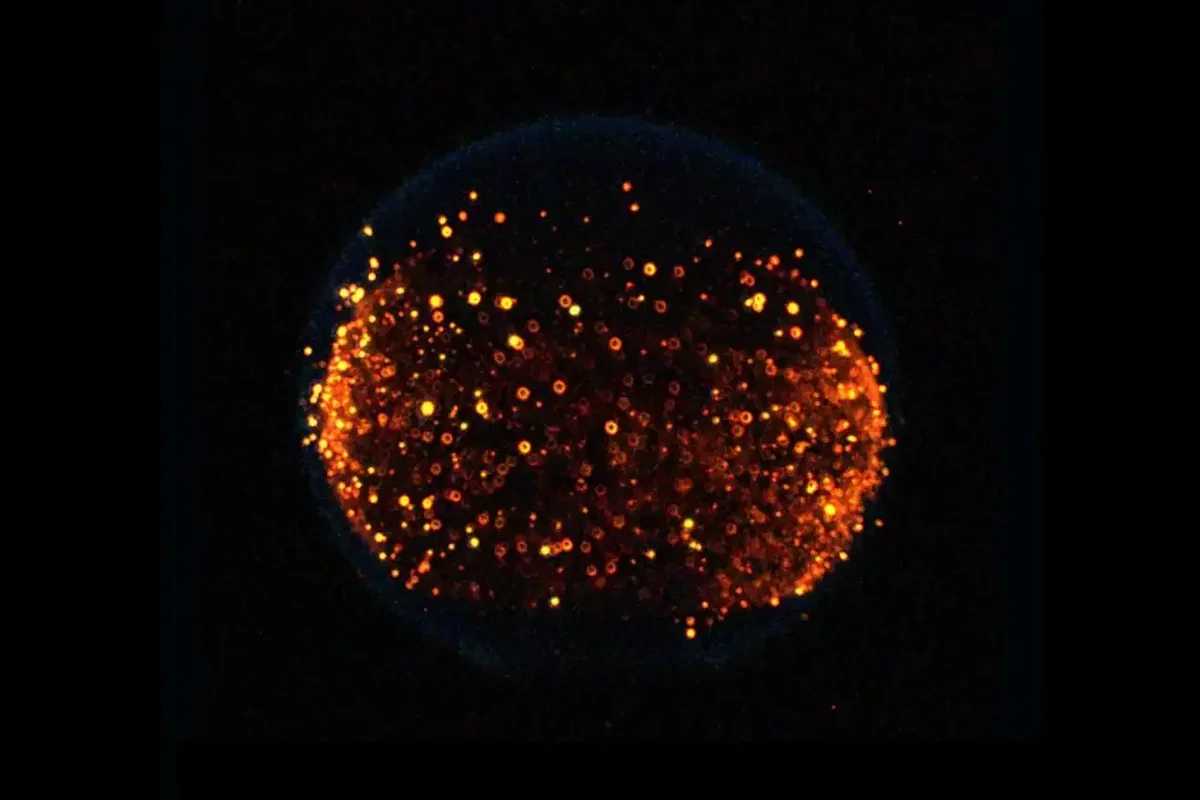NASA's Ambitious Lunar Fire Experiment: Understanding Combustion on the Moon